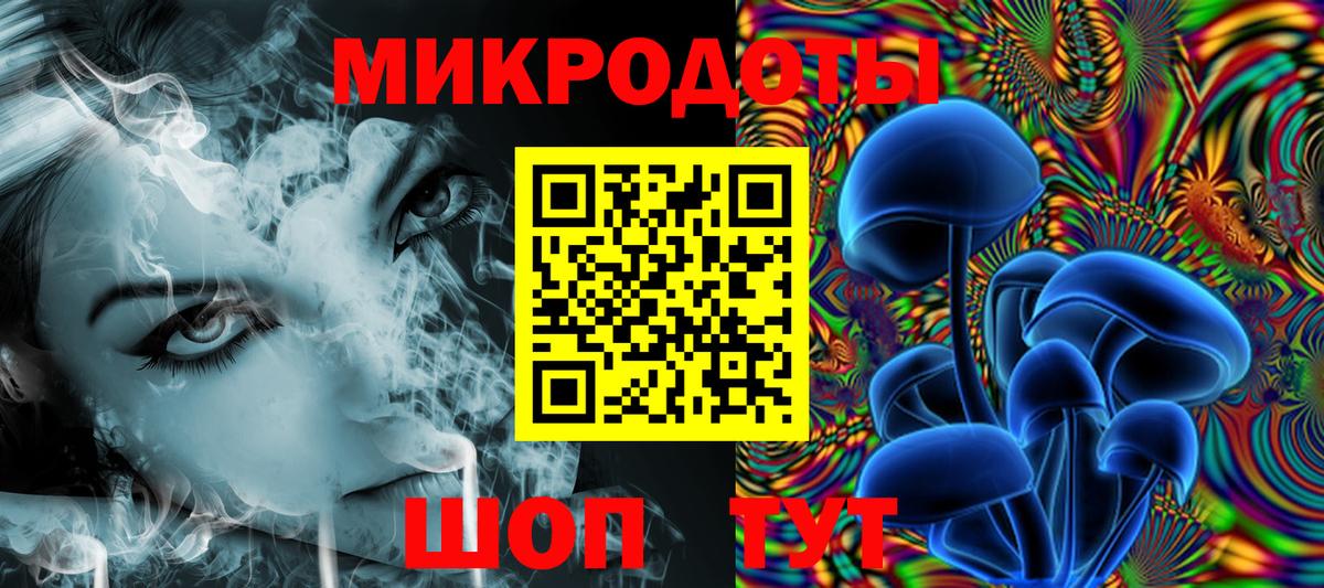 Галлюциногенные грибы Cubensis Сальск