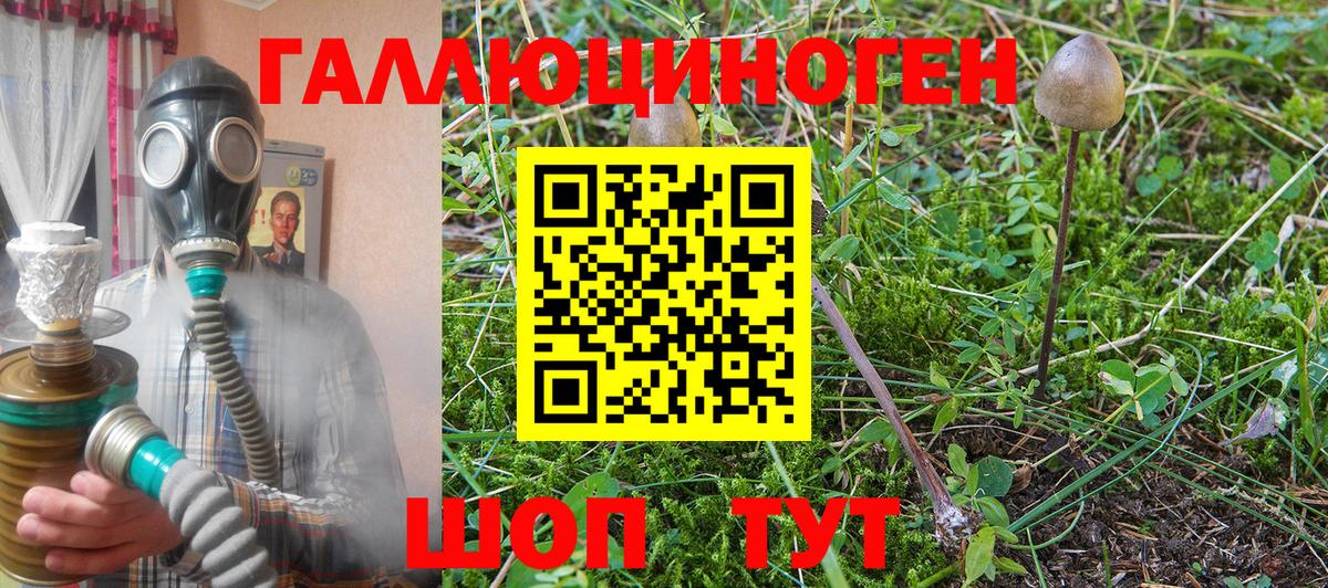 Сальск  Псилоцибиновые грибы прущие грибы  Вход с VPN  Галлюциногенные грибы мицелий 